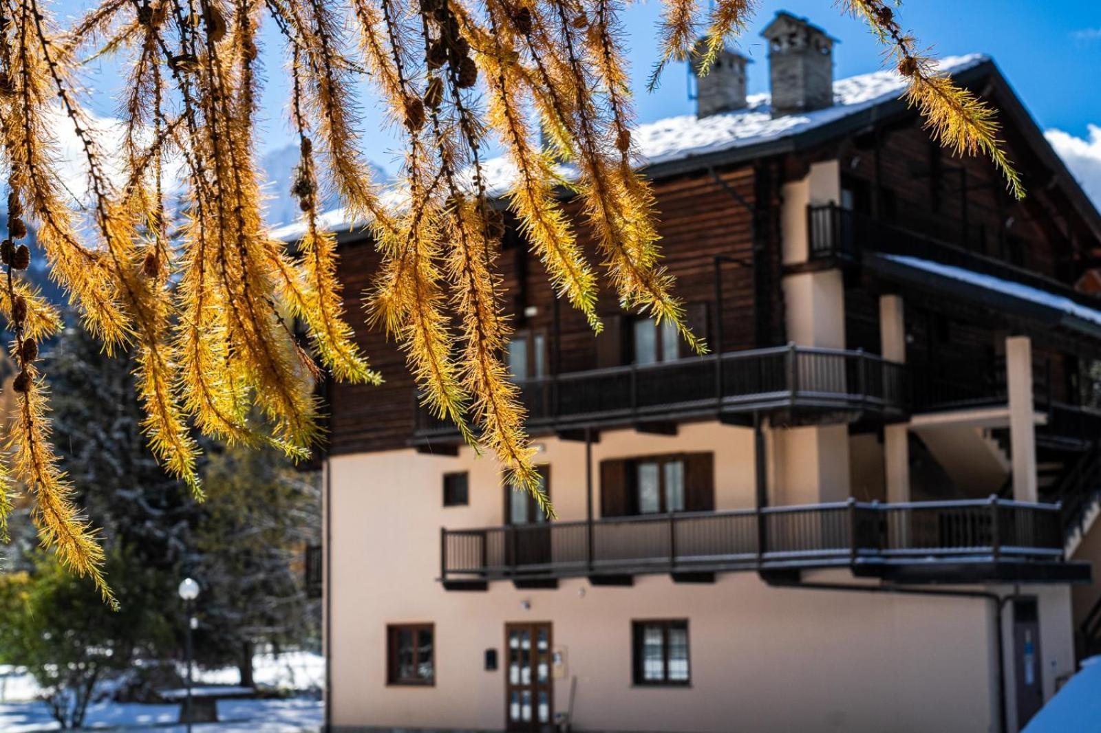 Alpine Forest Hotel Champoluc Buitenkant foto